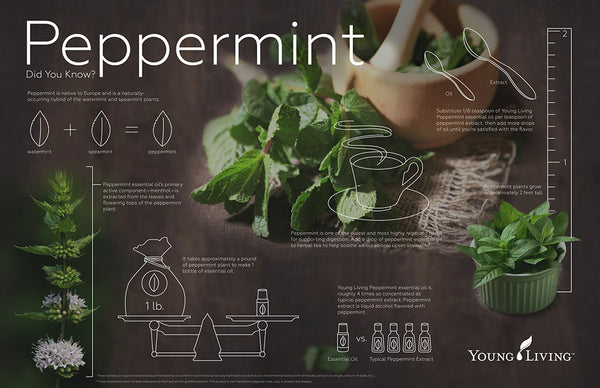 Peppermint Oil by Young Living
